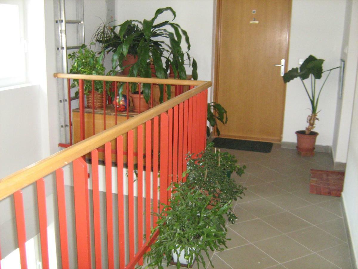 Apartment Diklic Senj  Eksteriør billede